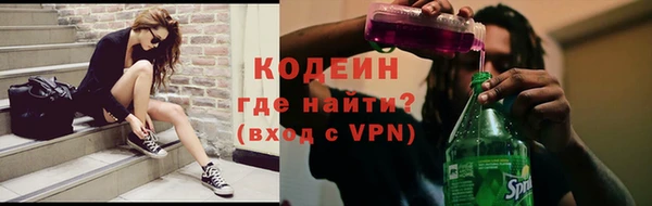 стаф Кинешма