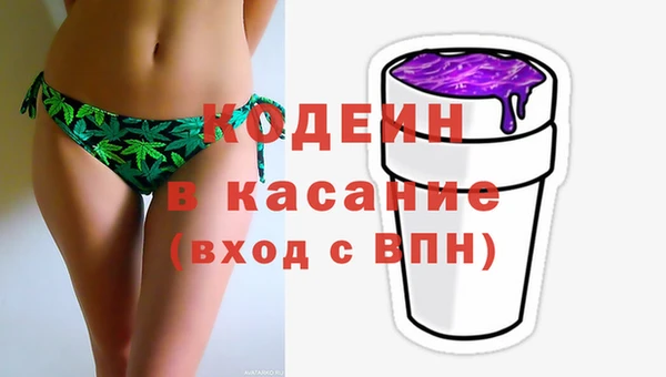 стаф Кинешма