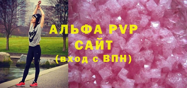 стаф Кинешма