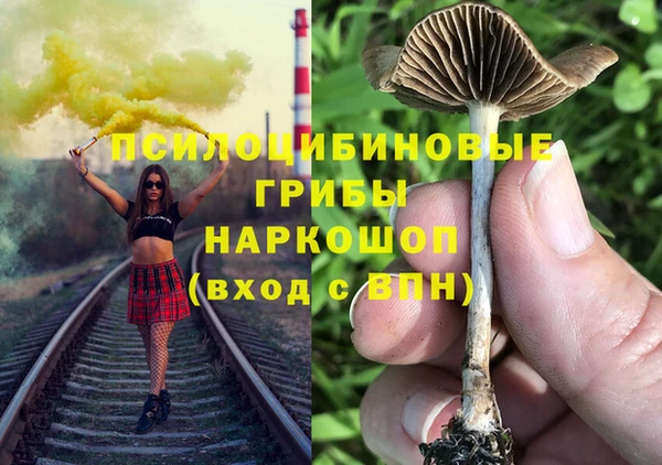 стаф Кинешма