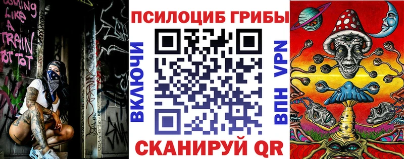 сколько стоит  Северск  Галлюциногенные грибы GOLDEN TEACHER 